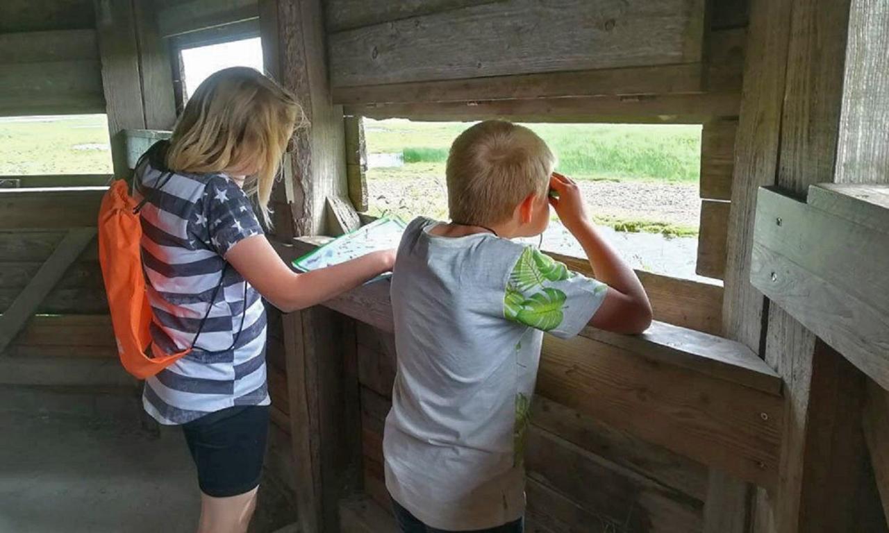Chalet Op Camping Lauwersoog Met 3 Slaapkamers En Vaatwasser - Joycasa 外观 照片