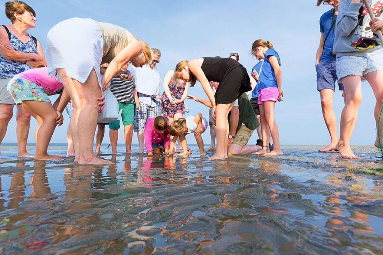 Chalet Op Camping Lauwersoog Met 3 Slaapkamers En Vaatwasser - Joycasa 外观 照片