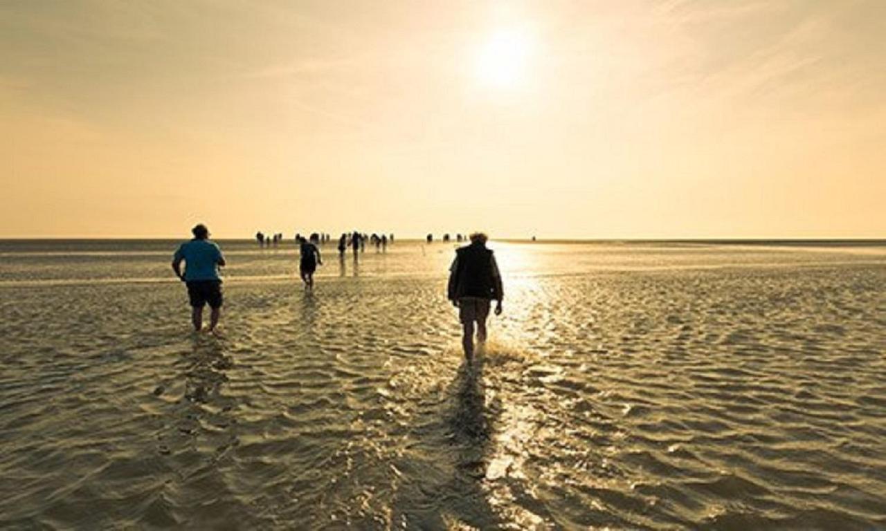 Chalet Op Camping Lauwersoog Met 3 Slaapkamers En Vaatwasser - Joycasa 外观 照片